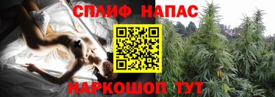 jwh Пугачёв