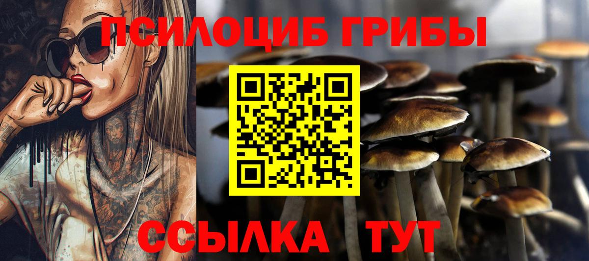 Псилоцибиновые грибы Magic Shrooms Рубцовск