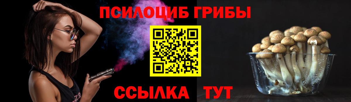  COCAIN Рубцовск